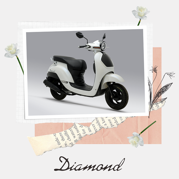 ALLY Diamond đã chiếm trọn sự chú ý của khách hàng ngay từ những ngày đầu tiên ra mắt